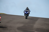 PJ-Motorsport-2019;anglesey-no-limits-trackday;anglesey-photographs;anglesey-trackday-photographs;enduro-digital-images;event-digital-images;eventdigitalimages;no-limits-trackdays;peter-wileman-photography;racing-digital-images;trac-mon;trackday-digital-images;trackday-photos;ty-croes